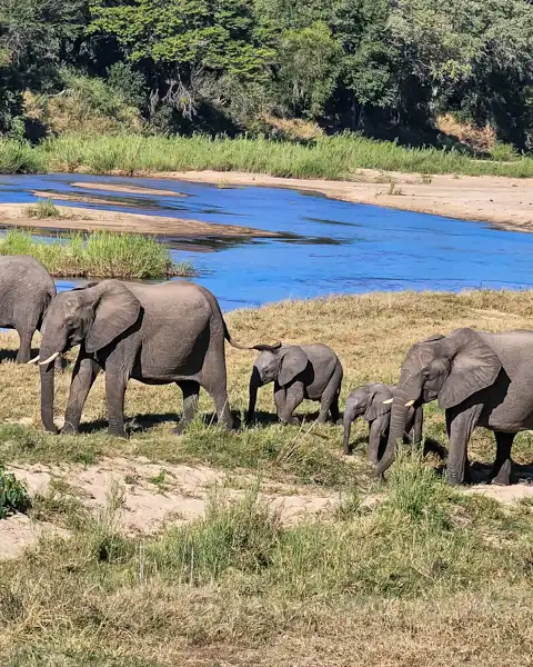 Blue Giraffe SA | Tours, Transfers & Safaris