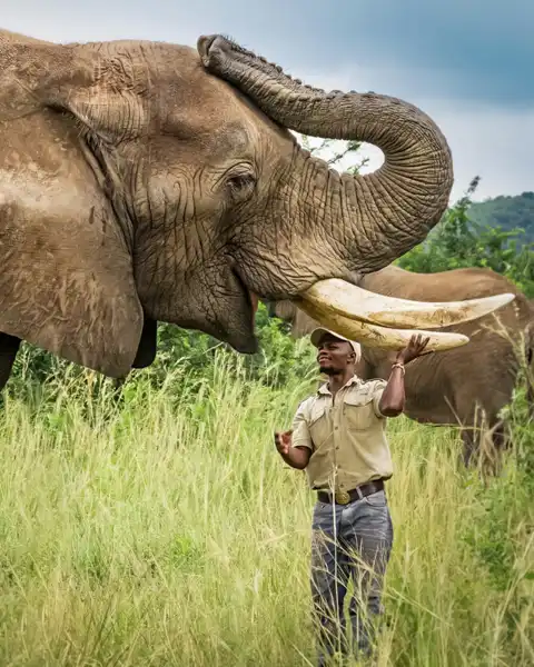 © Elephant Whispers