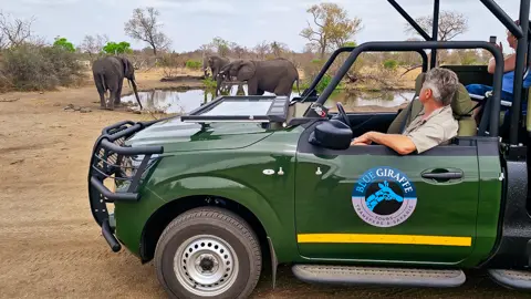 Safaris | Blue Giraffe SA