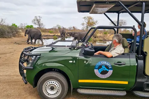 Kruger National Park Safari | Blue Giraffe SA